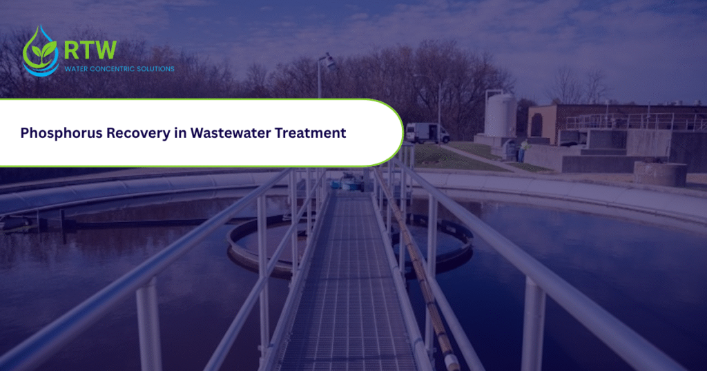 Phosphorus Recovery in Wastewater Treatment