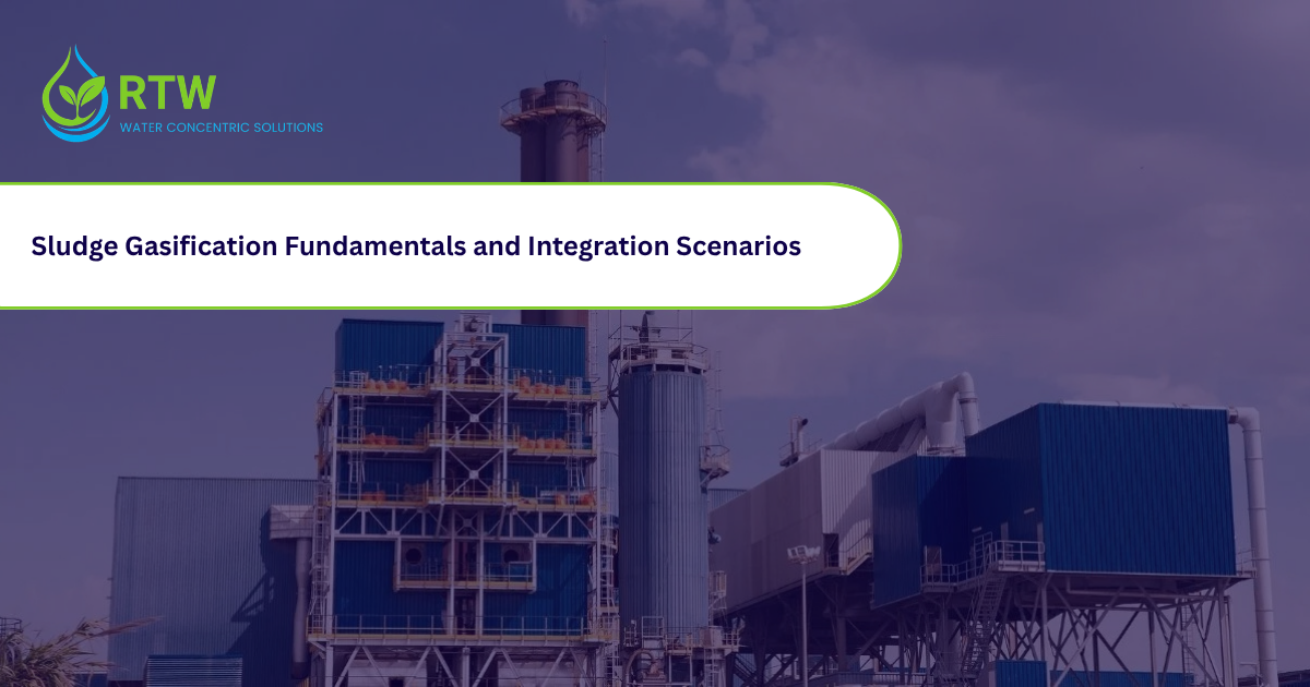 Sludge Gasification: Fundamentals and Integration Scenarios