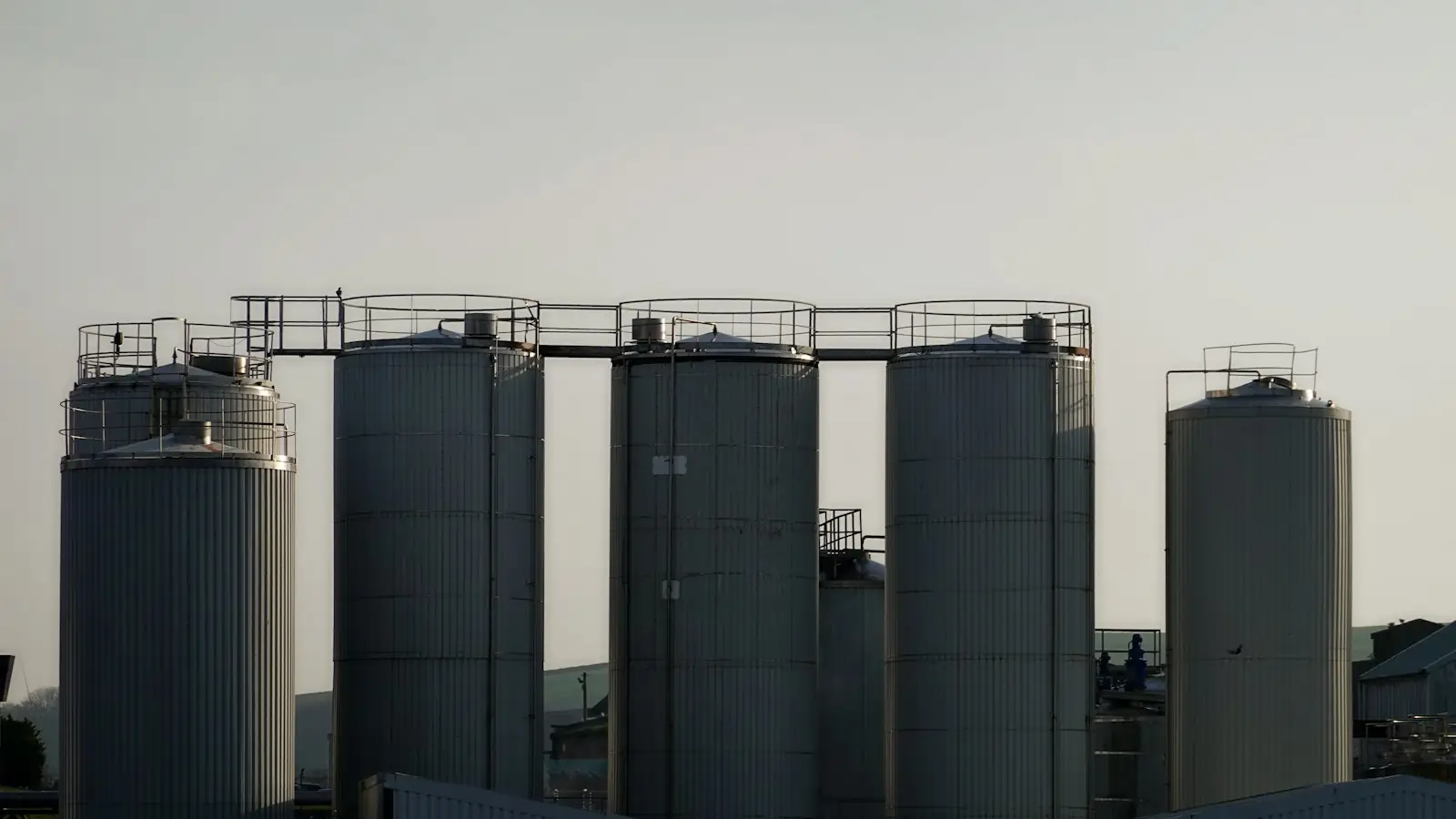 Dairy wastewater treatment
